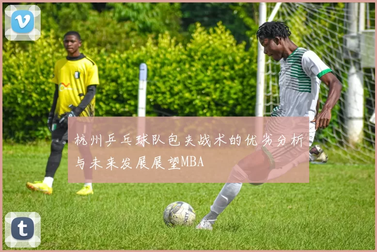 杭州乒乓球队包夹战术的优劣分析与未来发展展望MBA