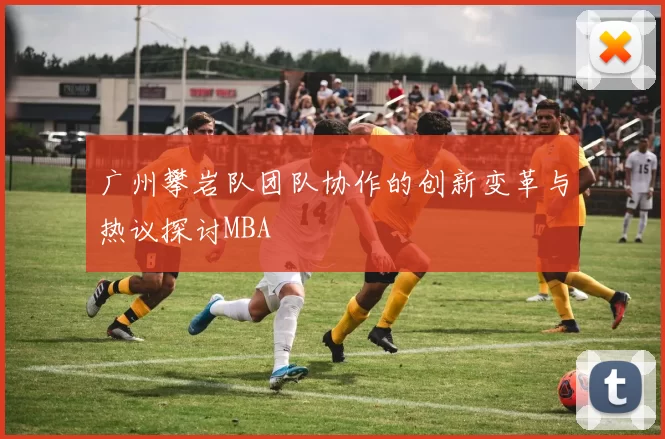 广州攀岩队团队协作的创新变革与热议探讨MBA