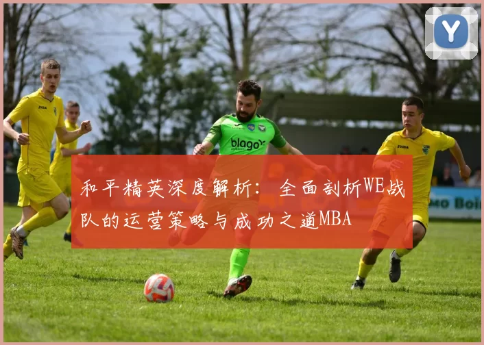 和平精英深度解析：全面剖析WE战队的运营策略与成功之道MBA