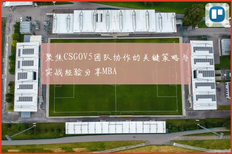 聚焦CSGOV5团队协作的关键策略与实战经验分享MBA