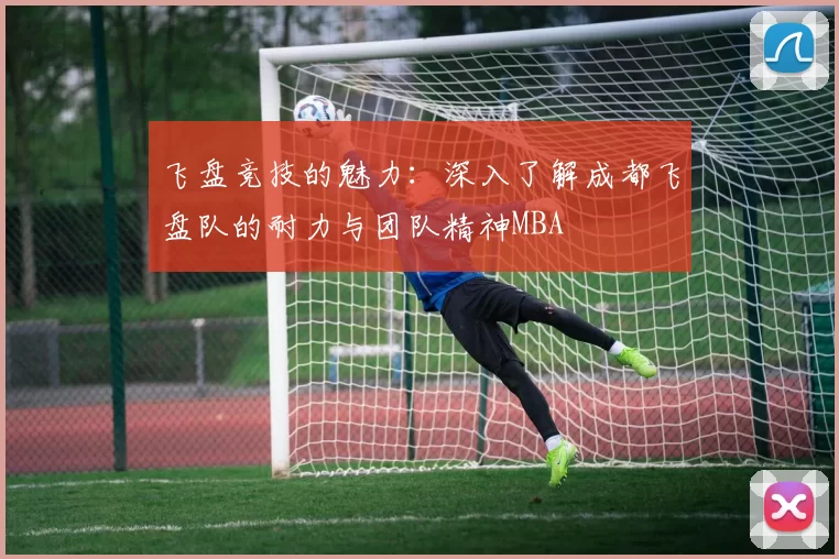 飞盘竞技的魅力：深入了解成都飞盘队的耐力与团队精神MBA