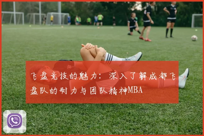 飞盘竞技的魅力：深入了解成都飞盘队的耐力与团队精神MBA