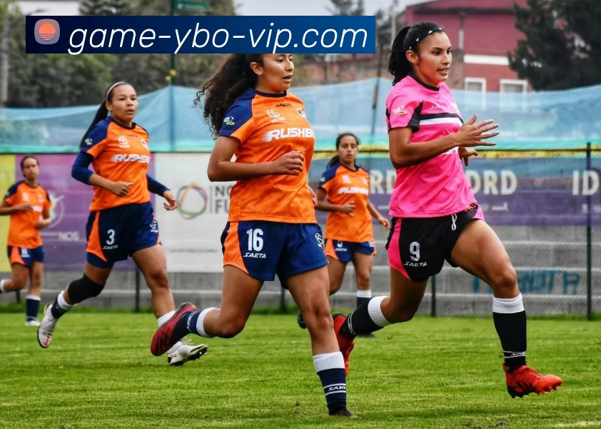 友博体育官网APP 高清赛事图